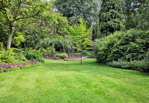 Optimiser l'expérience du jardin à Sanry-sur-Nied